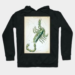 Scorpio zodiac sign Hoodie